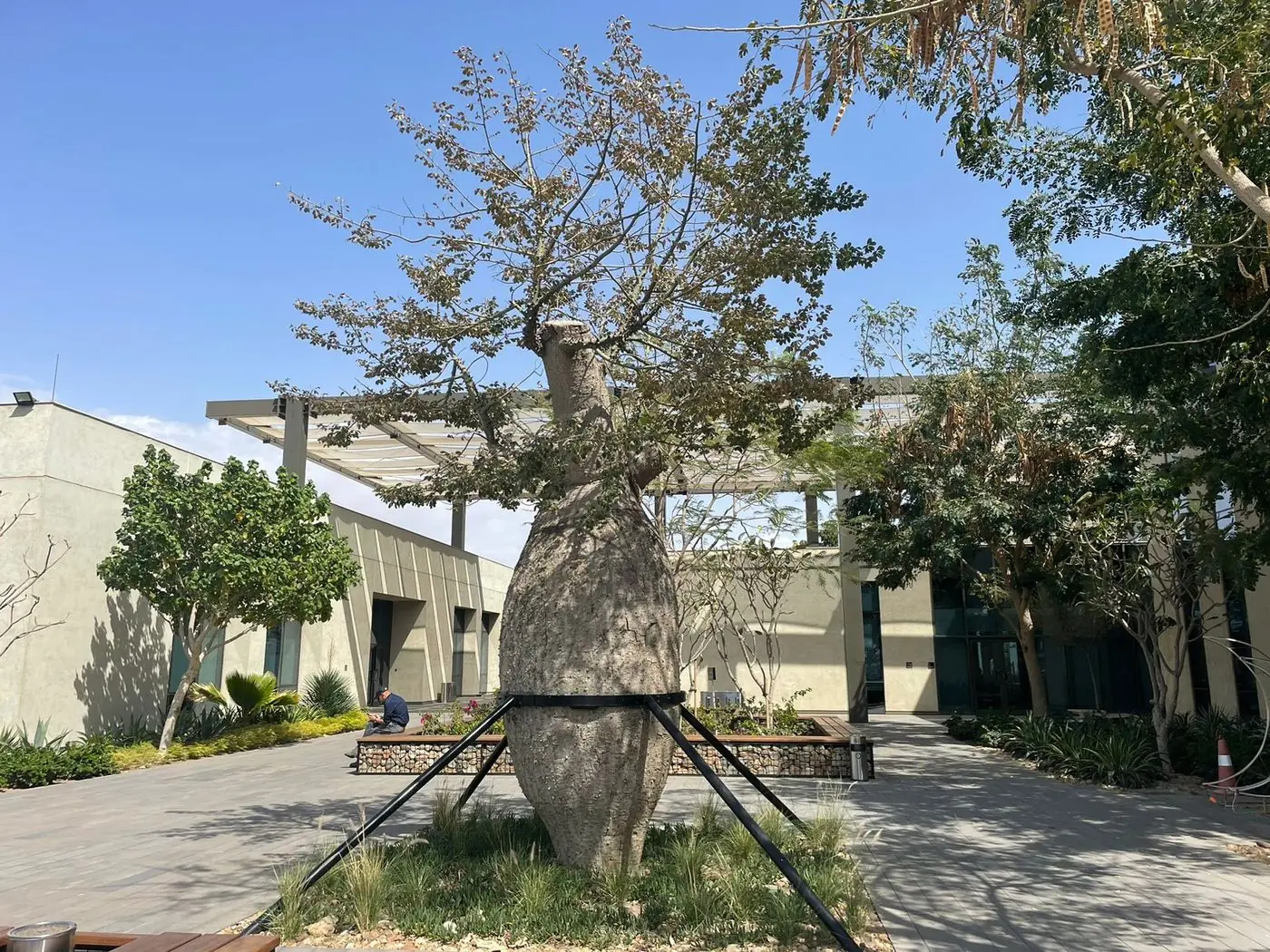 Tree Supports — Steel Works (2 of 4)
