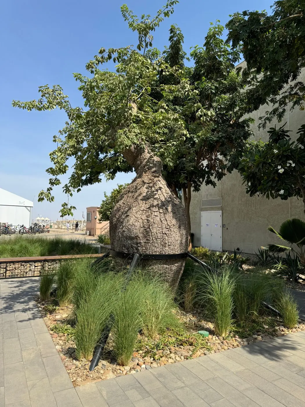 Tree Supports — Steel Works (3 of 4)
