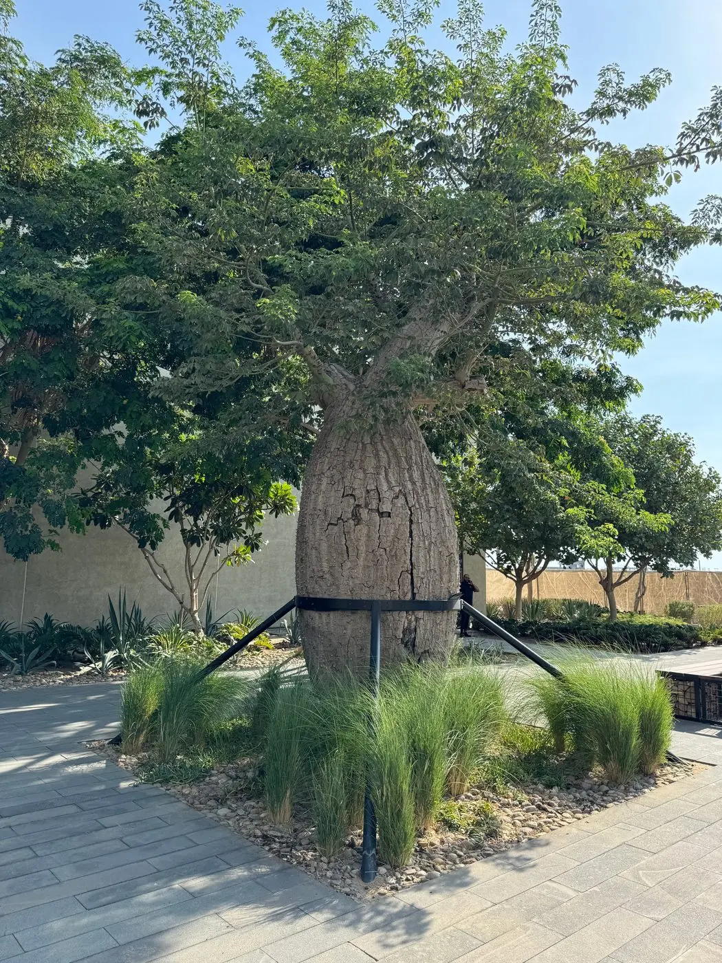 Tree Supports — Steel Works (4 of 4)